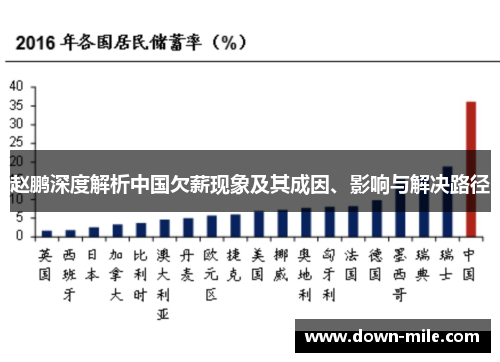 赵鹏深度解析中国欠薪现象及其成因、影响与解决路径 赵鹏深度解析中国欠薪现象及其成因、影响与解决路径