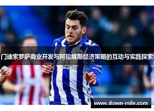 门迪索罗萨商业开发与阿拉维斯经济策略的互动与实践探索