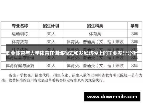 职业体育与大学体育在训练模式和发展路径上的主要差异分析