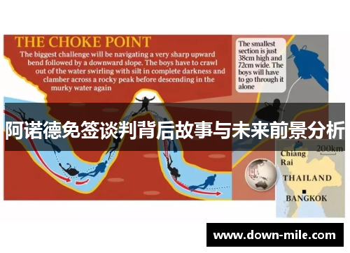 阿诺德免签谈判背后故事与未来前景分析