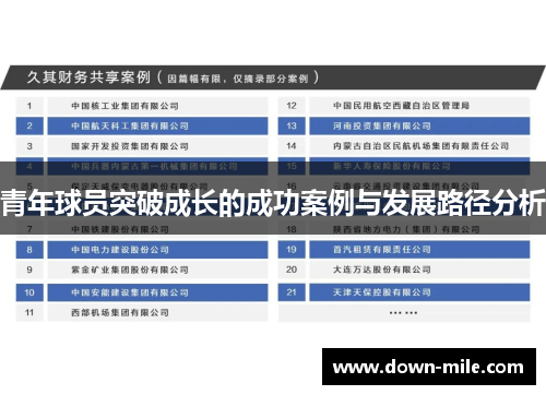 青年球员突破成长的成功案例与发展路径分析